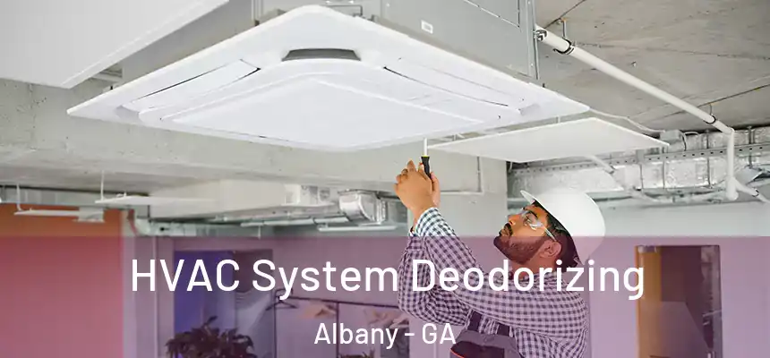  HVAC System Deodorizing Albany - GA
