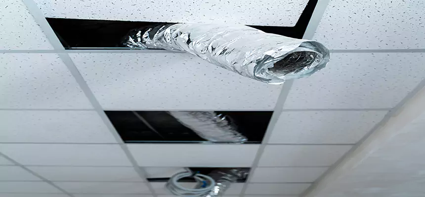 Affordable HVAC Sanitizing After Pest Removal in Albany