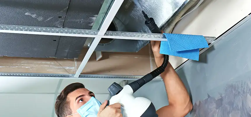 Our Air Duct Rodent Removal Services in Albany, GA