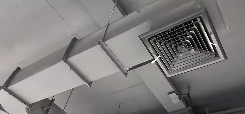 Restorative Allergy Relief Vent Cleaning – Coil, Blower & Housing Detail in Albany