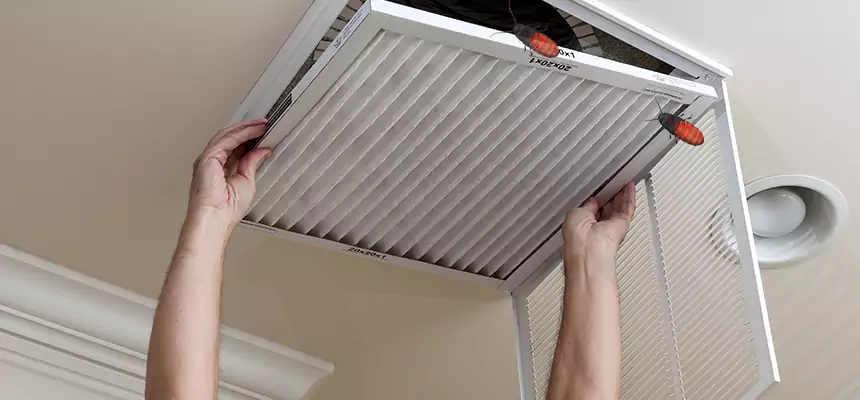 Our Insect Removal from Air Ducts Services in Albany, GA