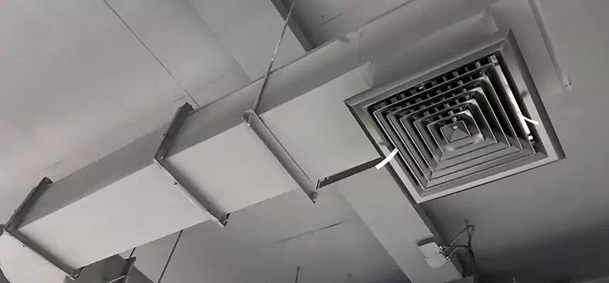 Our Pest Removal From Ducts Services in Albany, GA