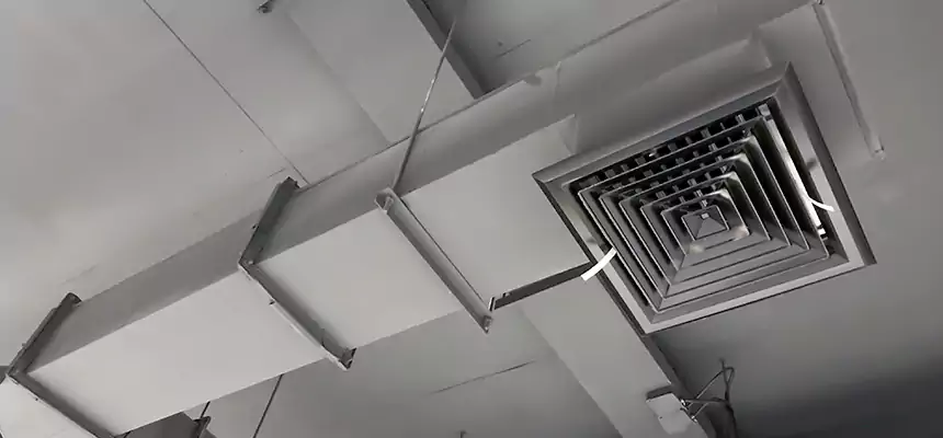 Our Rodent Droppings In Vents Services in Albany, GA