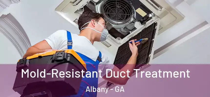  Mold-Resistant Duct Treatment Albany - GA
