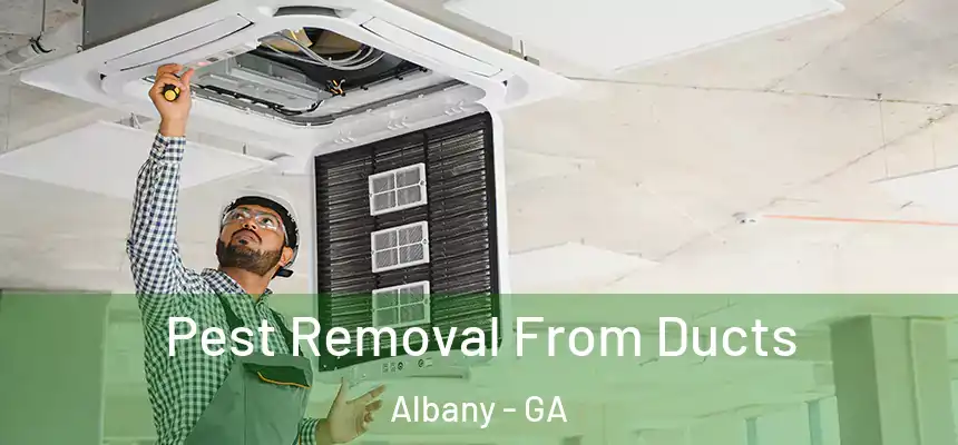 Pest Removal From Ducts Albany - GA