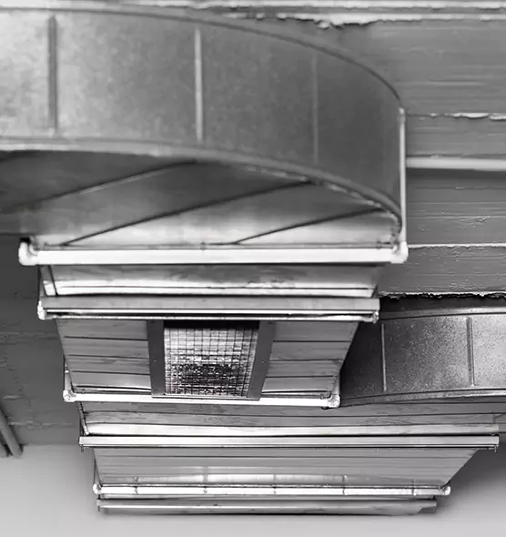 Professional Air Duct Pest Removal in Albany, GA