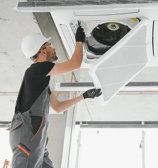 About Air Duct Rodent Removal in Albany, GA