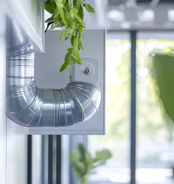 Professional Eco-Friendly Duct Cleaning Services in Albany, GA