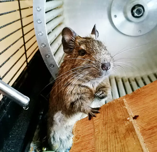 Why Homeowners & Businesses Trust Us Albany, GA