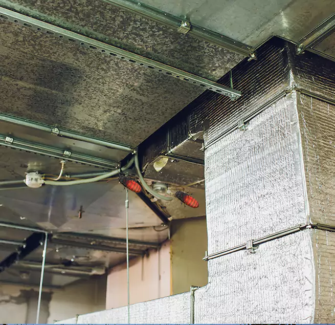 Why Homeowners & Businesses Trust Us Albany, GA?