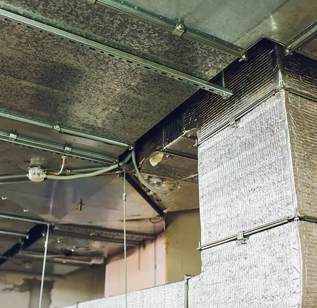 Why Homeowners & Businesses Trust Us in Albany, GA?