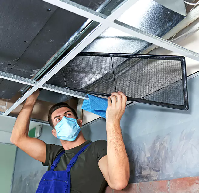 Why Homeowners & Businesses Trust Us in Albany, GA?