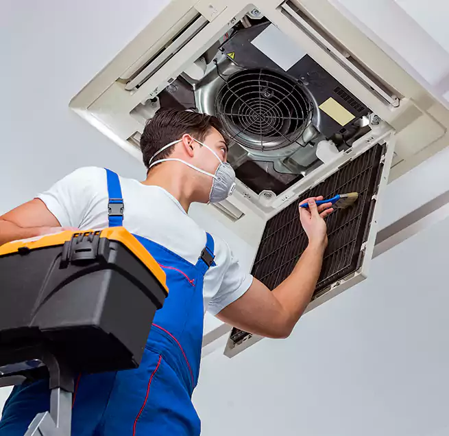 Why Homeowners & Businesses Trust Us in Albany, GA?